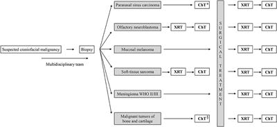 The Role of Adjuvant Treatment in Craniofacial Malignancy: A Critical Review